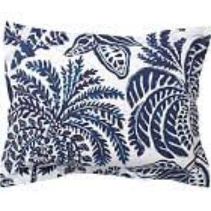 Pottery Barn Rae Euro Shams